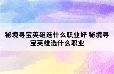 秘境寻宝英雄选什么职业好 秘境寻宝英雄选什么职业